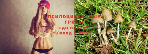 МДПВ Балахна